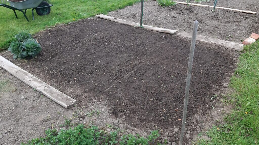 Flax sown ... 13.04.2025