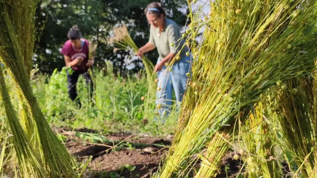 Img 20220709 064439 609