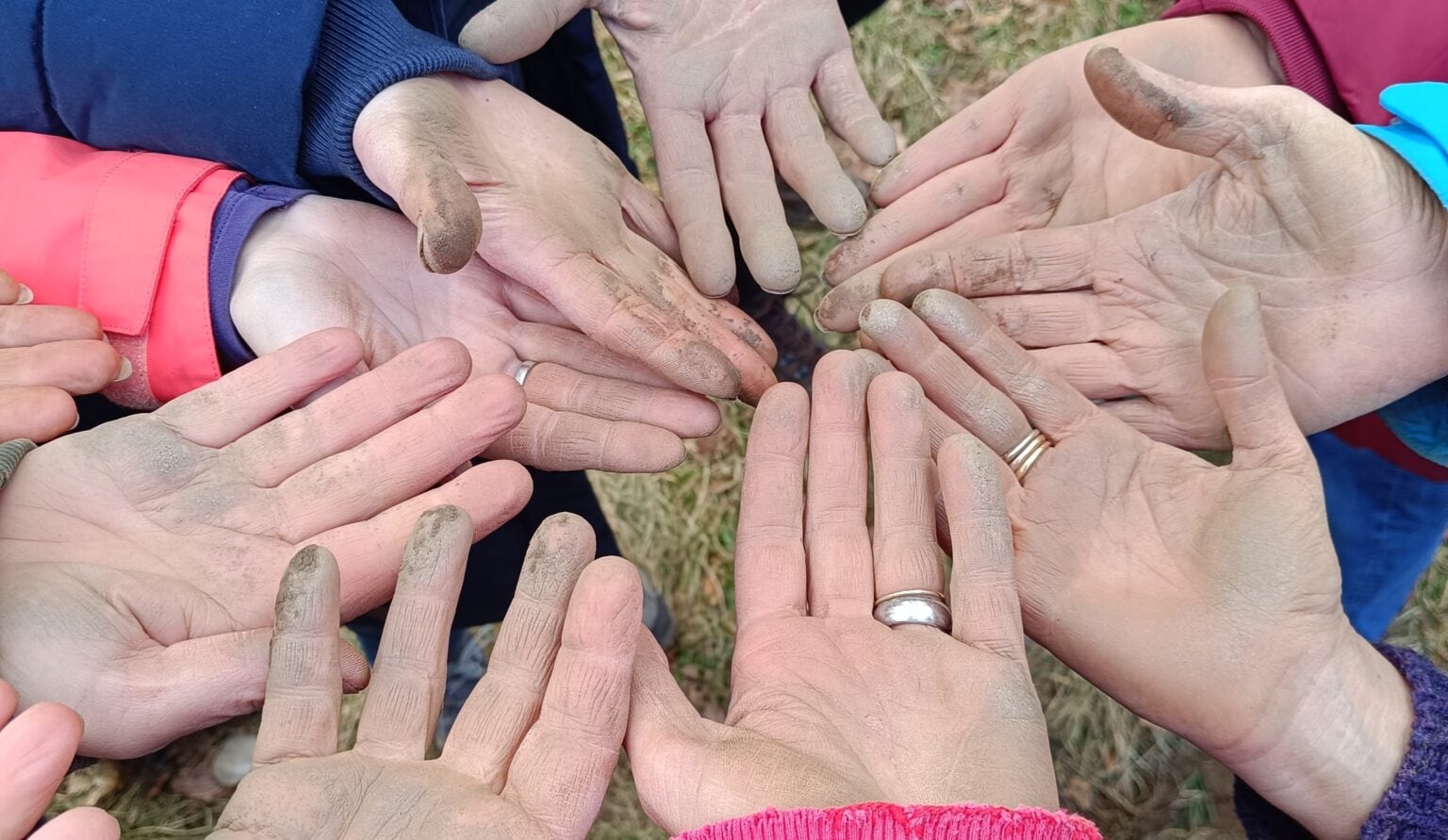 Img 20240316 115019 small