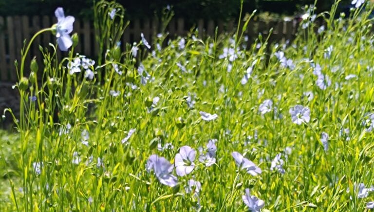 Img 20240617 102155 small