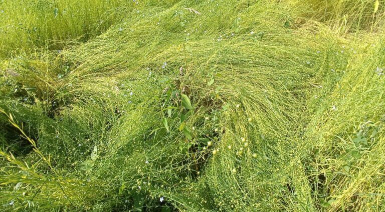 Img 20240710 094953 small