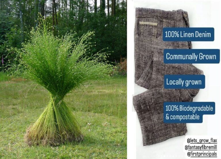 Fb img 1751746145165