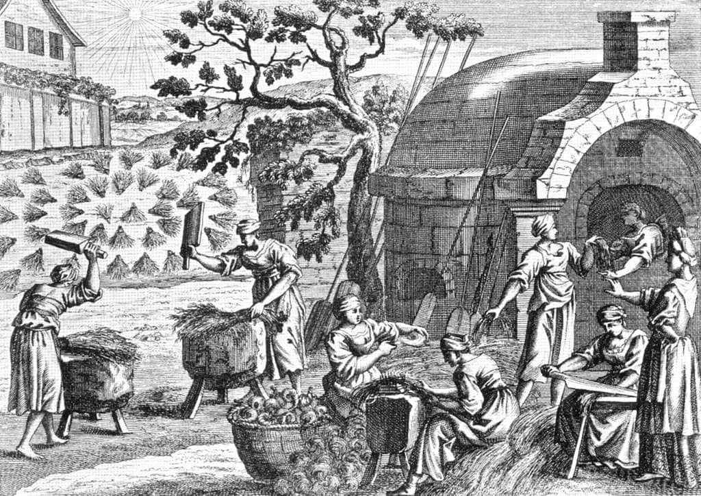 Flax breaking around 1700 938c4e 1024