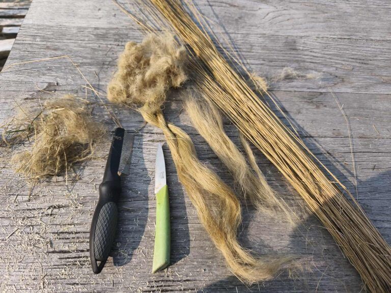 From stalk to fibre without a flagellum or hackle